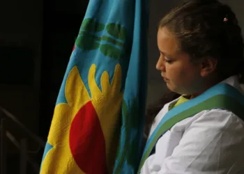 20 de noviembre, Día de la Bandera Bonaerense: historia y simbología
