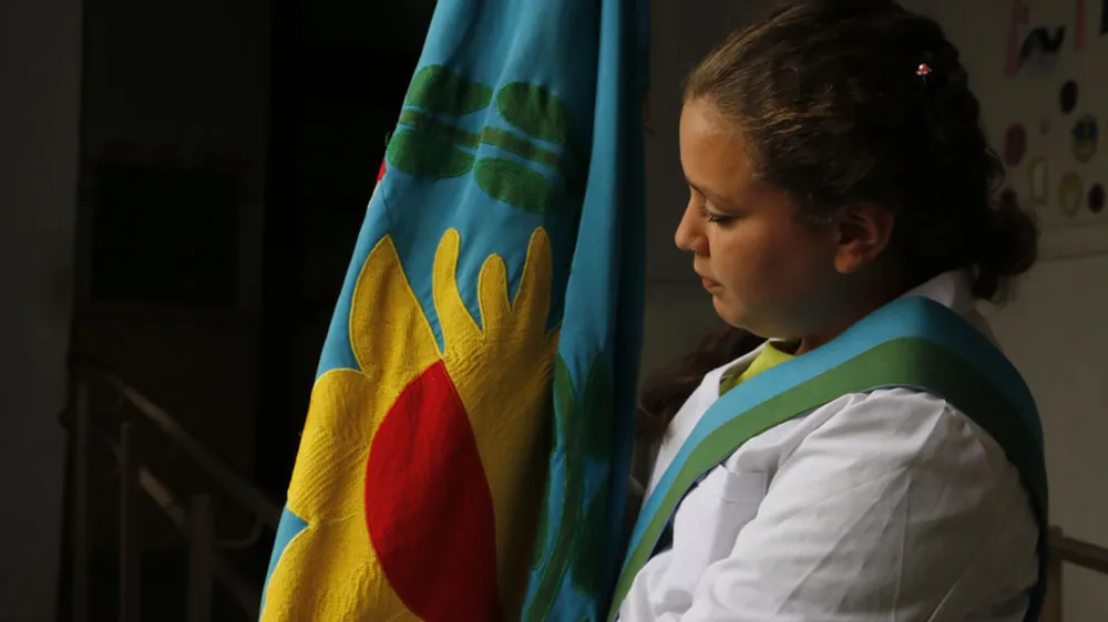 20 de noviembre, Día de la Bandera Bonaerense: historia y simbología