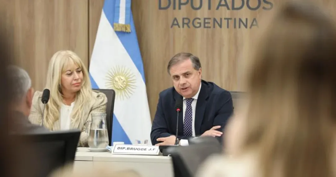 Intendentes reclamaron en Diputados una reducción del IVA para compras y contrataciones de municipios