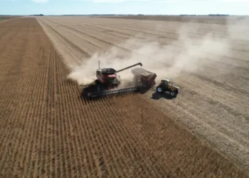 ARBA prorrogó los vencimientos para pagar el Inmobiliario Rural hasta diciembre