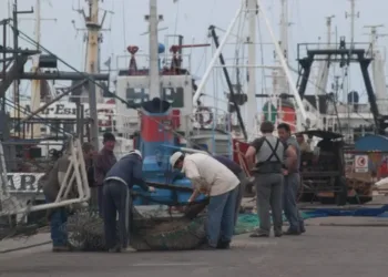 Indec: la actividad económica registró en septiembre un incremento de 5% interanual