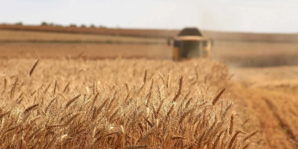 El papel de la tecnología satelital en la agricultura moderna en Argentina