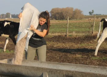 Una de cada 4 personas que trabaja en la agroindustria es mujer