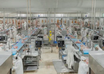 Argentina y Qatar cooperan en estrategias de control y prevención de enfermedades equinas