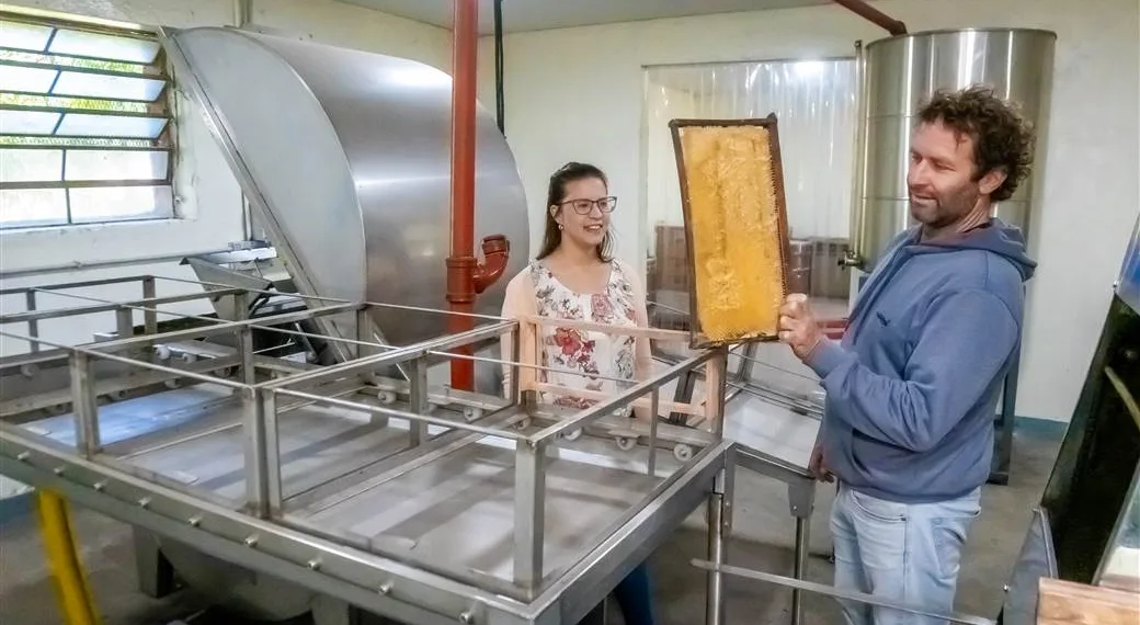Desde enero se implementarán controles para la comercialización de miel