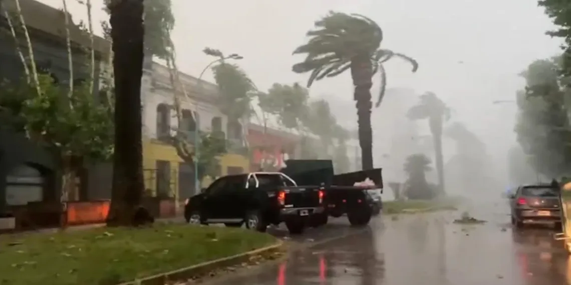 Estiman en 5 millones de hectáreas afectadas por las lluvias en la provincia de Buenos Aires