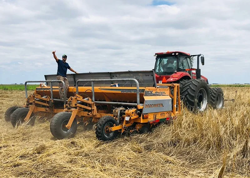 El agro avanza con buenas perspectivas para trigo, soja y maíz
