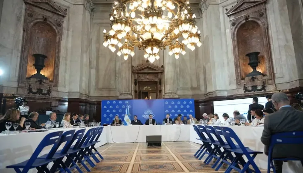 El Senado dictaminó el Presupuesto, pero sin el sensible capítulo sobre universidades y discapacidad