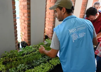 Avanza el Programa Huerta Urbana Bonaerense