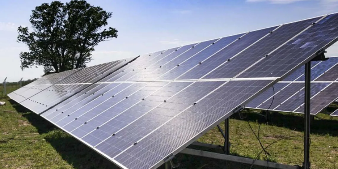 El parque solar que se construye en cercanías de Roca inyectará energía a Junín