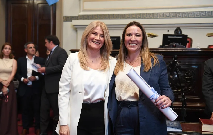 Petrecca y Arata juraron como senadores provinciales
