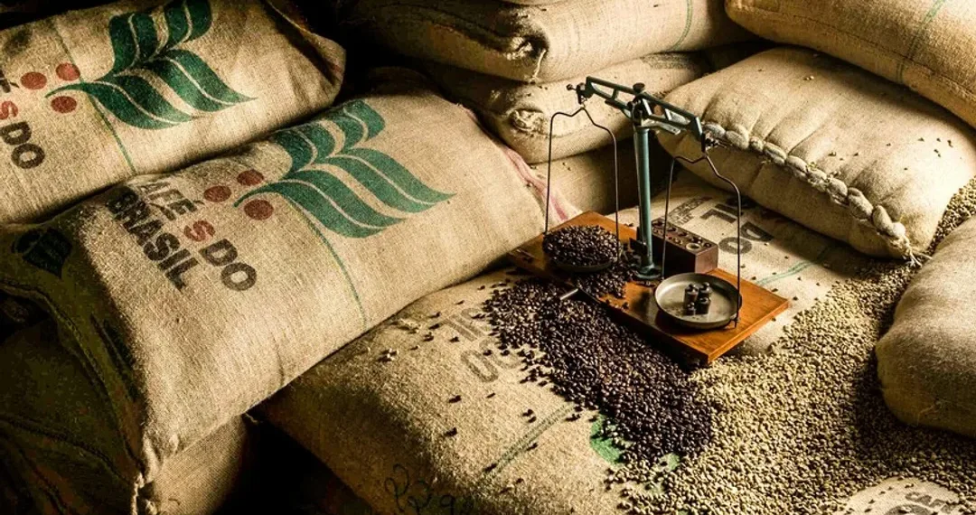 Persisten impactos de aranceles de EE.UU. sobre el café brasileño de cara a 2026