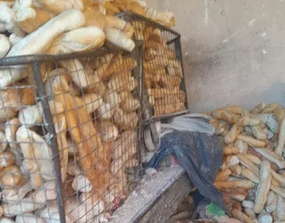 Denuncian problemas de higiene en panaderías de Junín y Pergamino