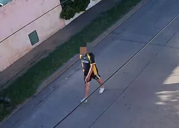 Detienen a un hombre que intentó robar a una vecina de calle Matienzo