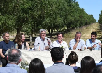 Coronel Dorrego inauguró la Ruta del Olivo