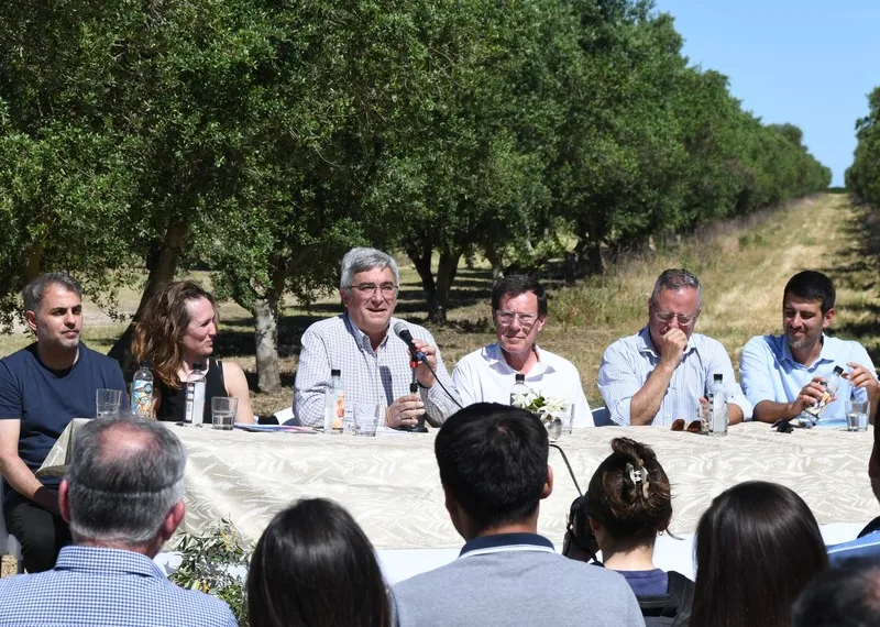 Coronel Dorrego inauguró la Ruta del Olivo