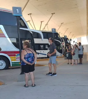 Viajes de fin de año: destinos, pasajes y actividad de la terminal