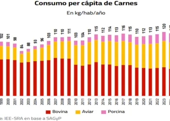 Un nuevo estudio revela cuánta carne consumen los argentinos