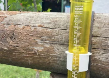 Cayeron 5 milímetros de lluvia sobre la ciudad