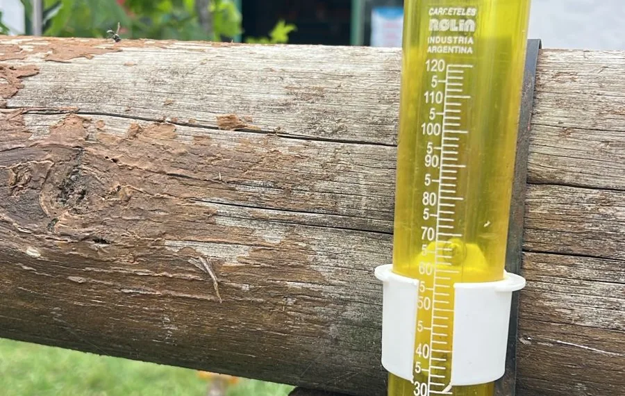 Cayeron 5 milímetros de lluvia sobre la ciudad