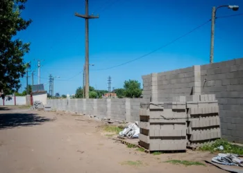 Acompañamiento local al desarrollo de instituciones