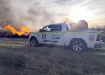 Bomberos sofocaron 170 incendios de pastos durante 2025