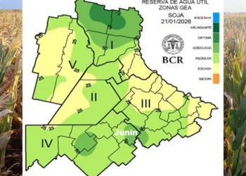 Apareció el riesgo de sequía en los cultivos estivales de la región