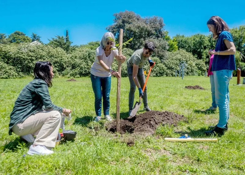 Reconocen  a Junín por su compromiso con el arbolado urbano y la acción climática