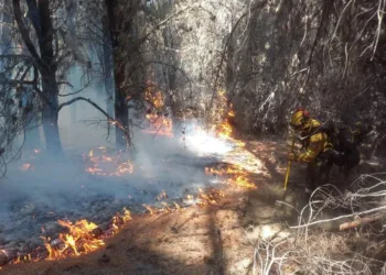 En medio de los incendios, el Gobierno gira $120.000 millones a los bomberos