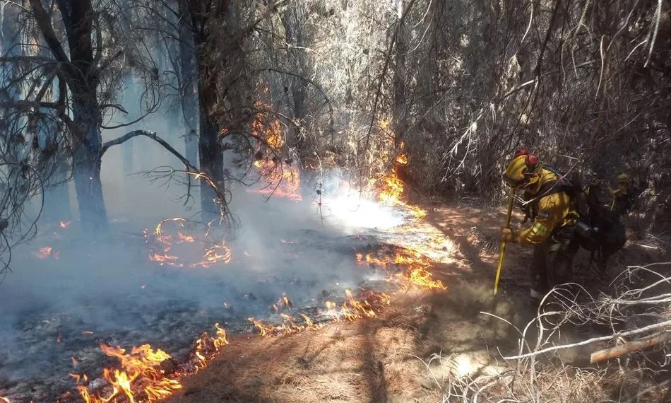 En medio de los incendios, el Gobierno gira $120.000 millones a los bomberos
