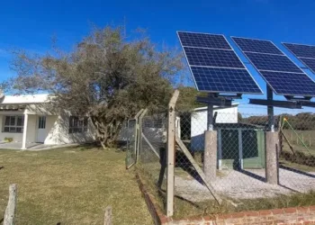 Habilitan a generar energía renovable y vender los excedentes