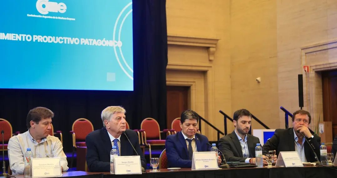 Gobernadores patagónicos pidieron al Congreso el tratamiento “urgente» de la ley de Emergencia Ígnea