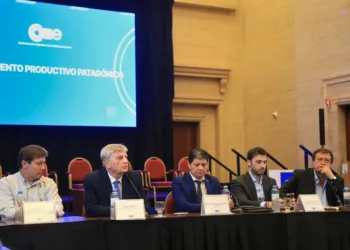 Gobernadores patagónicos pidieron al Congreso el tratamiento “urgente» de la ley de Emergencia Ígnea