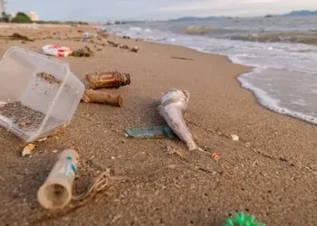 Casi el 80% de los residuos encontrados en las playas bonaerenses son plásticos