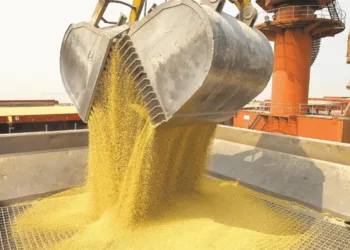 Preocupación de la agroindustria por una letra chica incluida en el acuerdo entre el Mercosur y la UE