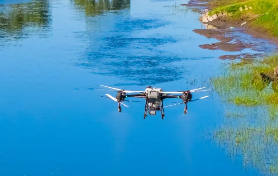 Barigüí: mediante drones buscan controlar la plaga