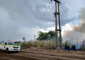 Bomberos controlaron diferentes situaciones en la ciudad