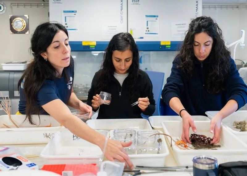 Provincia inaugura la muestra “Vidas submarinas – Ciencia, arte y soberanía” en el Museo MAR de Mar del Plata