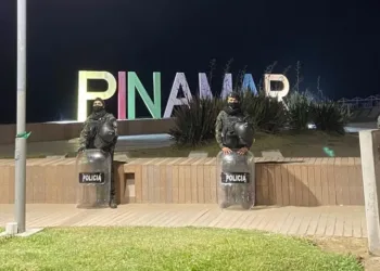 Ola de robos en Pinamar: más de diez delitos en 72 horas