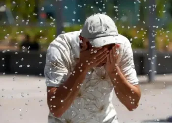 Calor y salud: qué hacer y qué no para evitar una descompensación