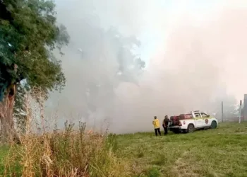 La activa labor de Bomberos no se detiene durante enero