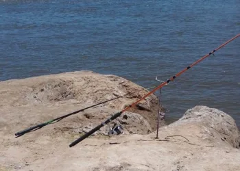 Pesca furtiva: se labraron más de 30 infracciones