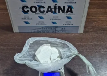 Aprehendieron a un hombre con importante cantidad de droga