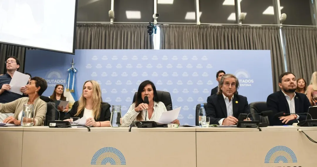 Régimen Penal Juvenil: el oficialismo consiguió firmar dictamen de mayoría en Diputados