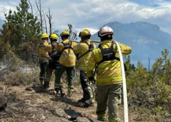 Drama en la Patagonia: el fuego ya afectó 45 mil hectáreas y hay cuatro parques en alerta