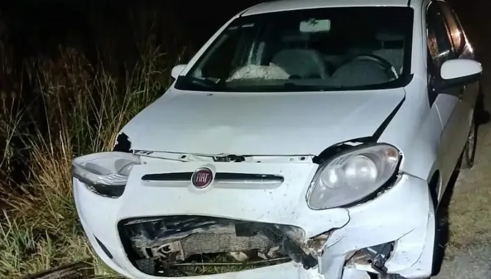 Ruta 88: un auto embistió a un carpincho y un hombre que se detuvo a ayudar murió atropellado
