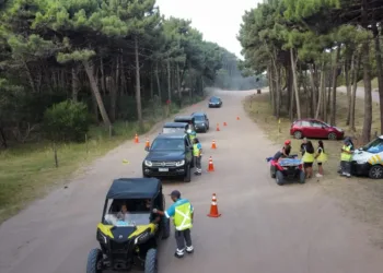 Alcohol al volante: la ANSV sancionó a más de 2.000 conductores en enero