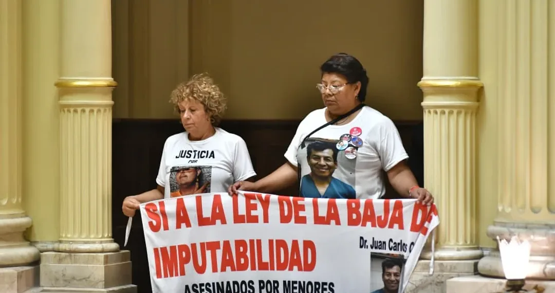 El Senado aprobó el Régimen Penal Juvenil y la edad de imputabilidad bajará a 14 años