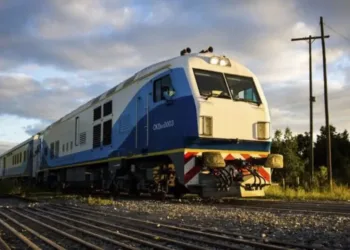 Mascotas podrán viajar en tren desde y hacia Mar del Plata, Junín y Bragado