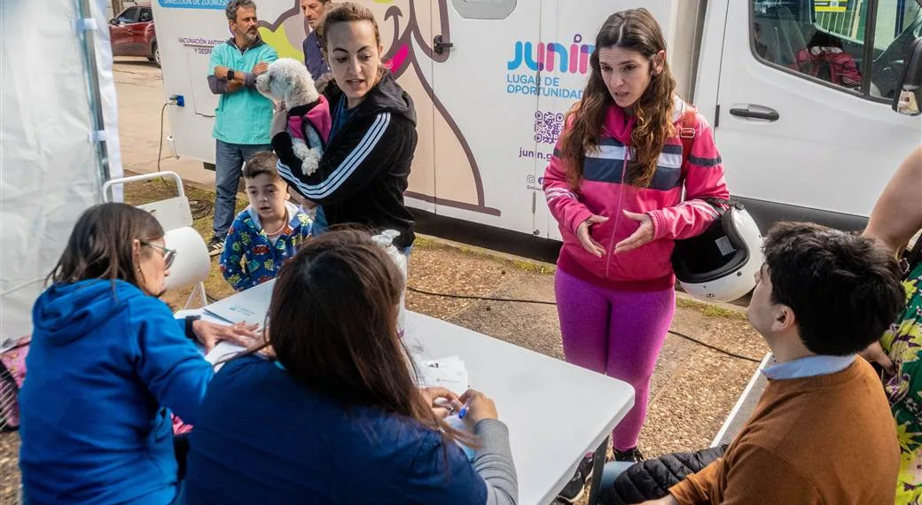 Intensifican la castración y vacunación de perros y gatos en la vía pública